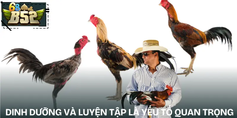 cac-the-loai-da-ga-pho-bien-hien-nay-kinh-nghiem-nuoi
