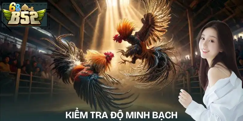 cac-truong-ga-online-noi-tieng-hien-nay-kiem-tra-tinh-minh-bach