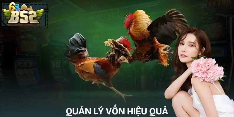 cac-truong-ga-online-noi-tieng-hien-nay-quan-ly-von-cuoc-hop-ly