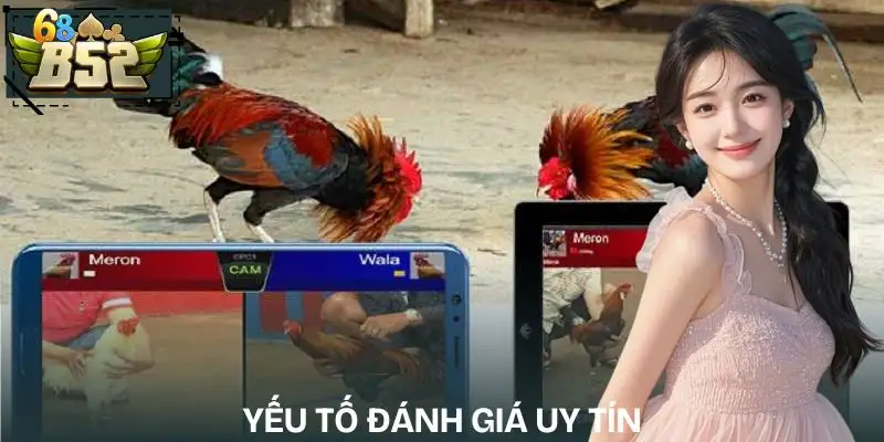 cac-truong-ga-online-noi-tieng-hien-nay-yeu-to-danh-gia