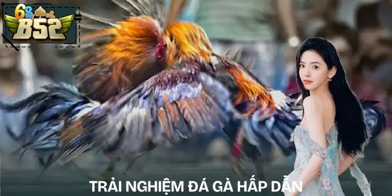 da-ga-kham-pha-trai-nghiem