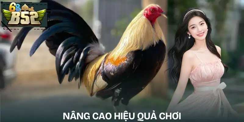 ky-thuat-trong-tung-loai-hinh-da-ga-cach-nang-cao-hieu-qua