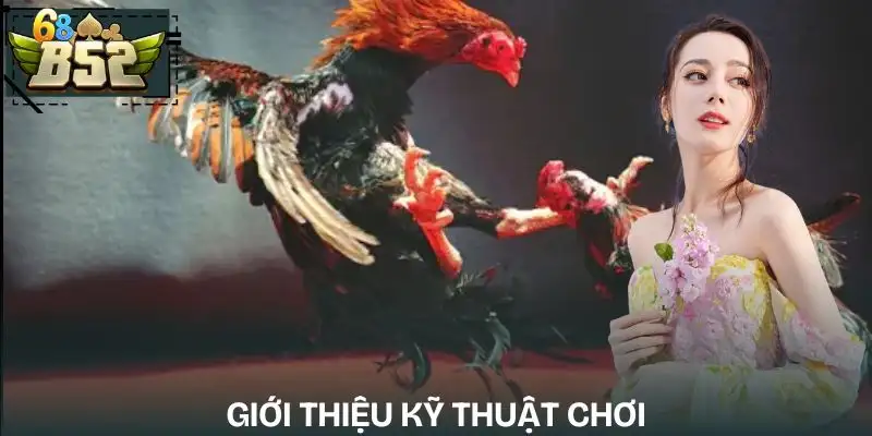ky-thuat-trong-tung-loai-hinh-da-ga-gioi-thieu