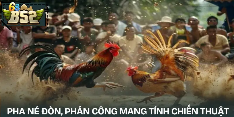 uu-nhuoc-diem-cac-loai-hinh-da-ga-ga-don